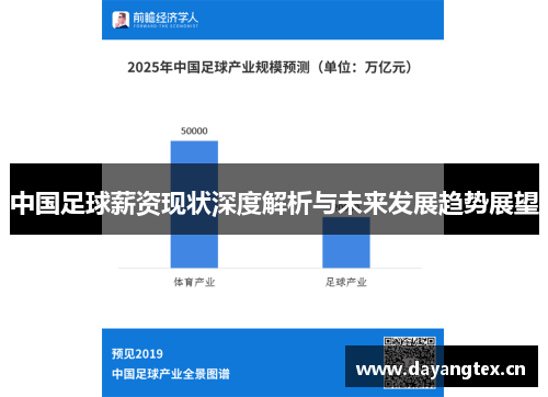 中国足球薪资现状深度解析与未来发展趋势展望